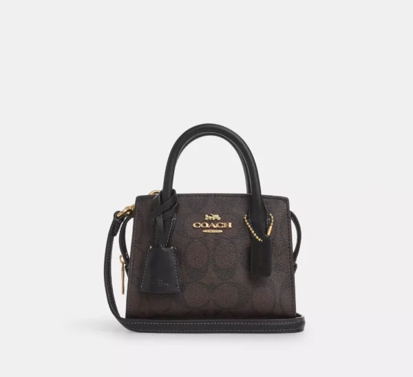Coach Andrea Mini Carryall In Signature Canvas